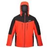 Regatta Mens Highton II Waterproof Insulated Jacket (Cajun Orange/Black)