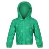 Regatta Childrens/Kids Akiva Dinosaur Insulated Waterproof Jacket (Jellybean Green)