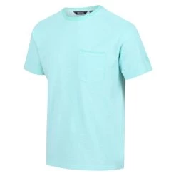 Regatta Caelum Men's Walking Short Sleeve T-Shirt