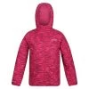 Regatta Childrens/Kids Volcanics VI Zebra Print Waterproof Jacket (Berry Pink)