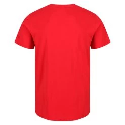 Regatta Cline VI Men's Walking Short Sleeve T-Shirt -Outdoor Equipment Store kbbaa3f379db99bfffade8a4f6a516bd9